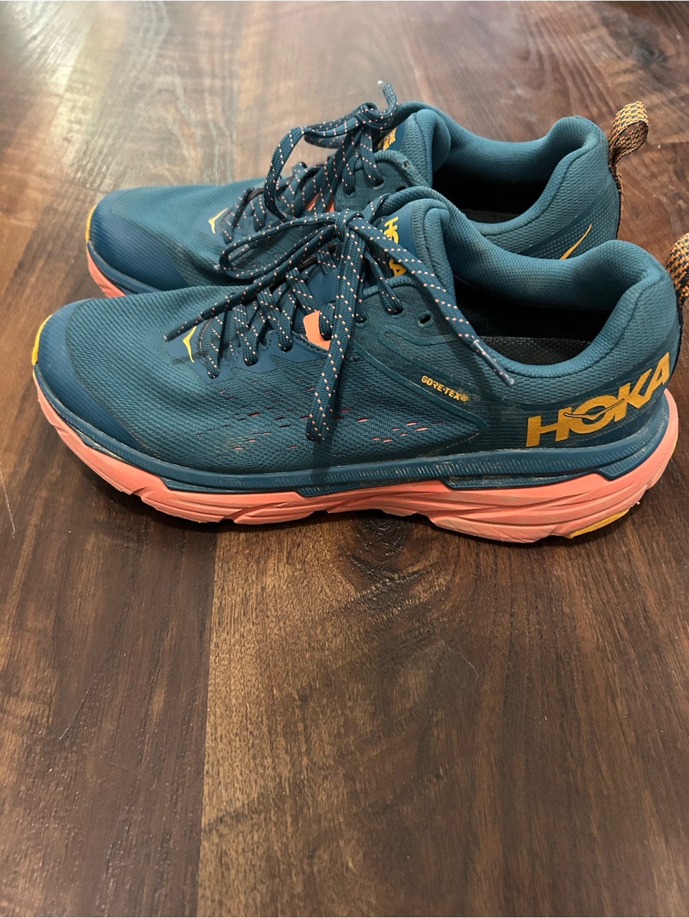 HOKA Challenger ATR 6 GTX Trail Running Shoes